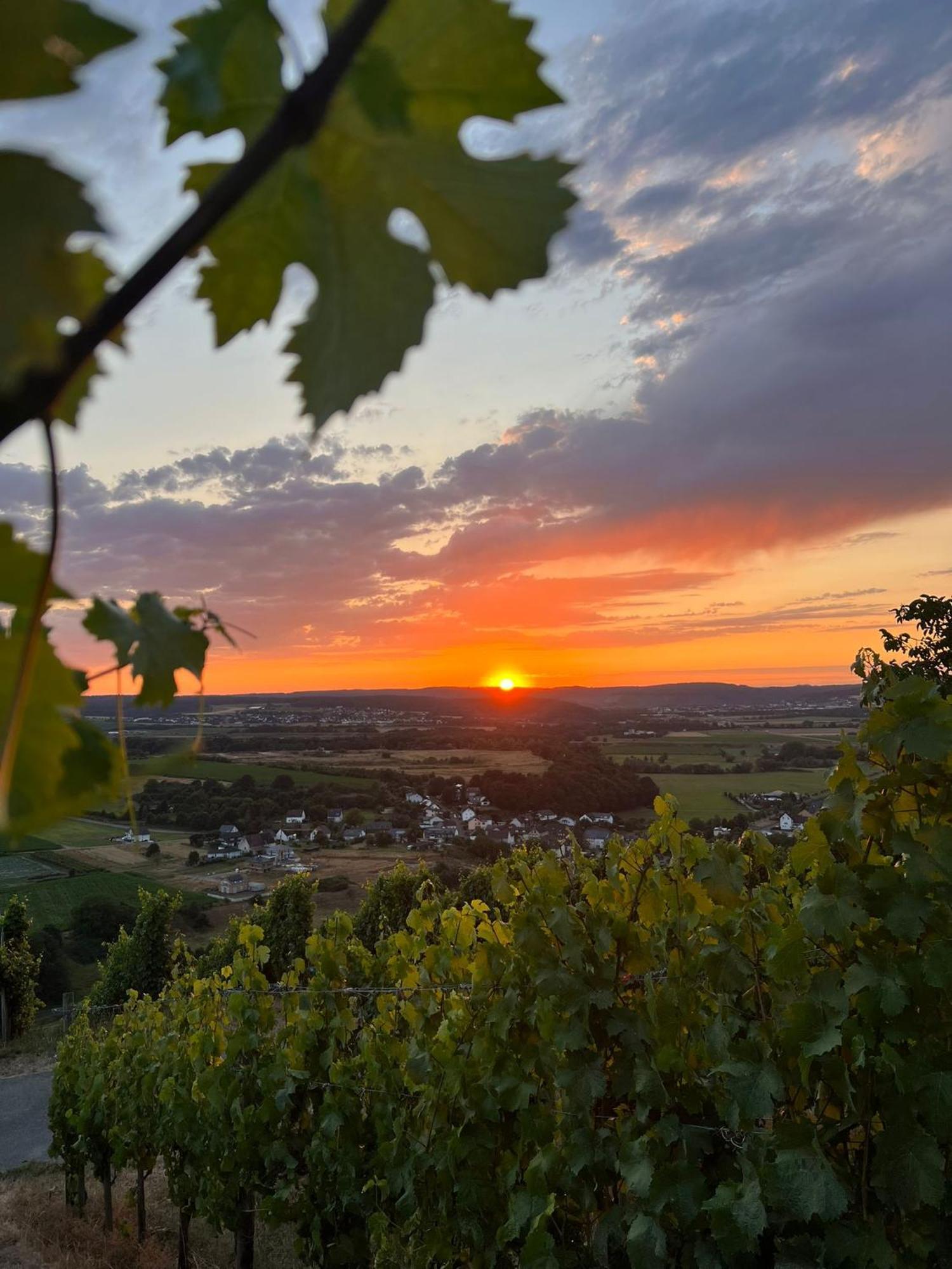 Weingut U. Gaestehaus Becker Platten 외부 사진